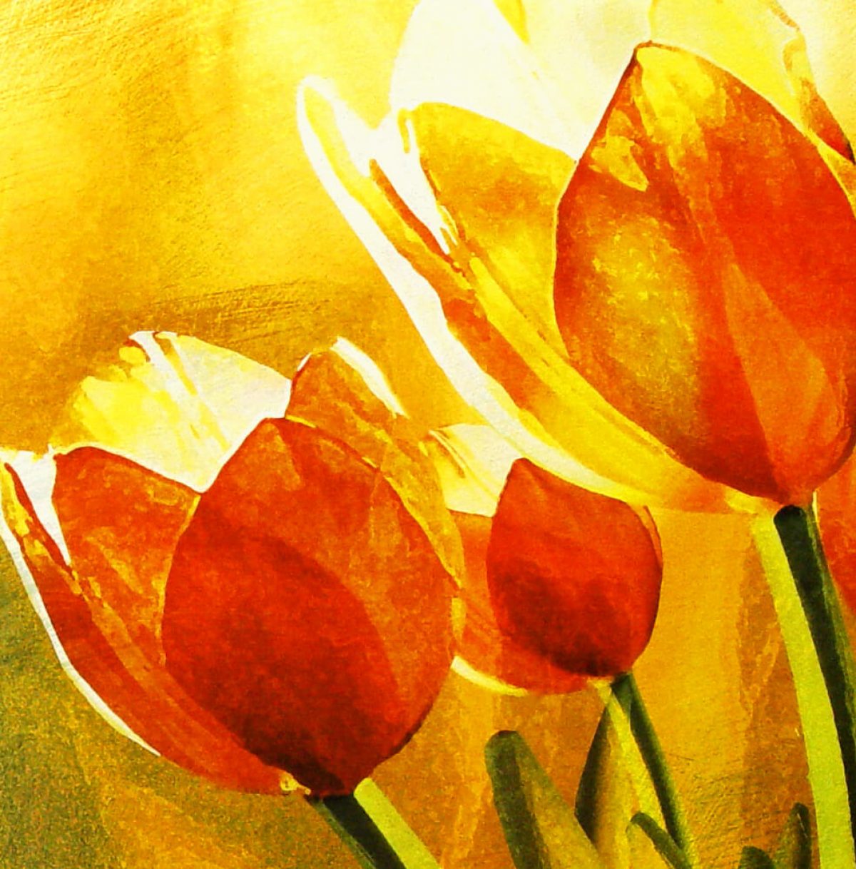 Tulpen