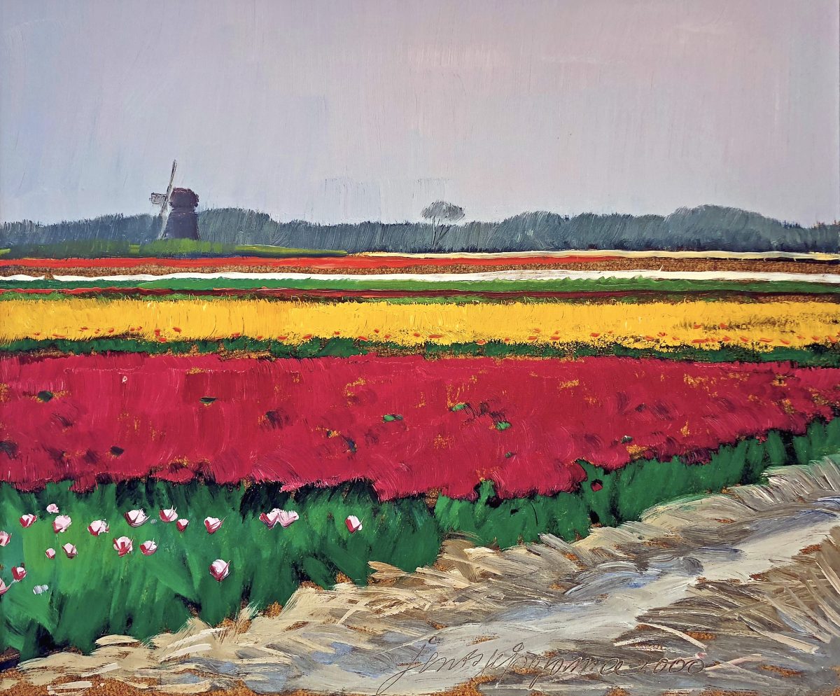 Tulpenveld bij Callantsoog