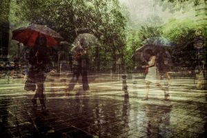 Thomas Vanoost - Rainy Day