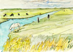 Thijs Damsma - Zonder titel I