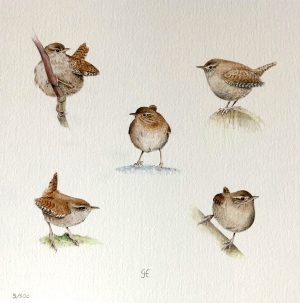 Grietje Huisman - 5 Vogels