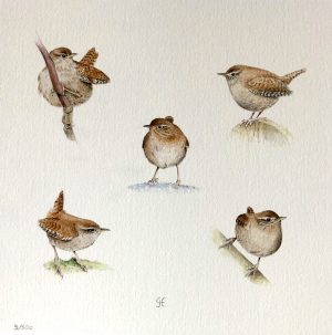 Grietje Huisman - Vijf Vogels