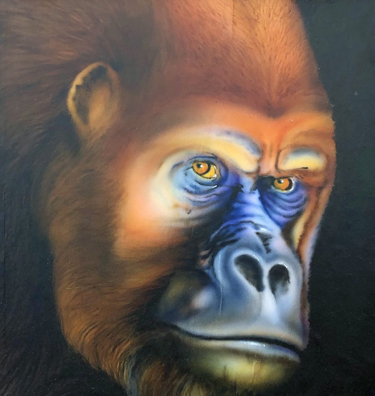 Gorilla