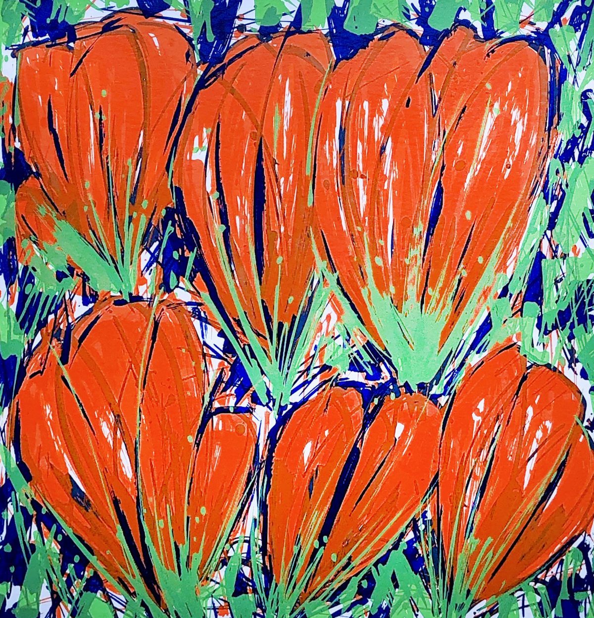 Crocus