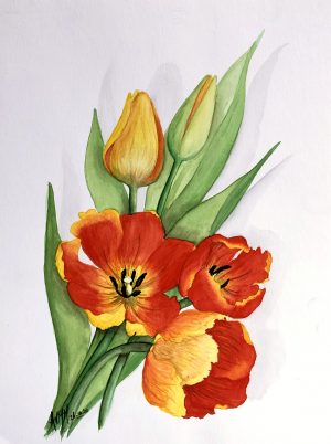 Anneke Hoitingh - Hollandse tulpen