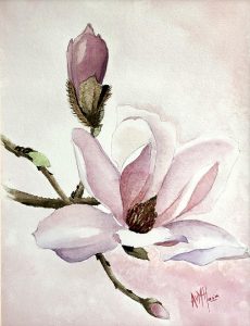 Anneke Hoitingh - Magnolia