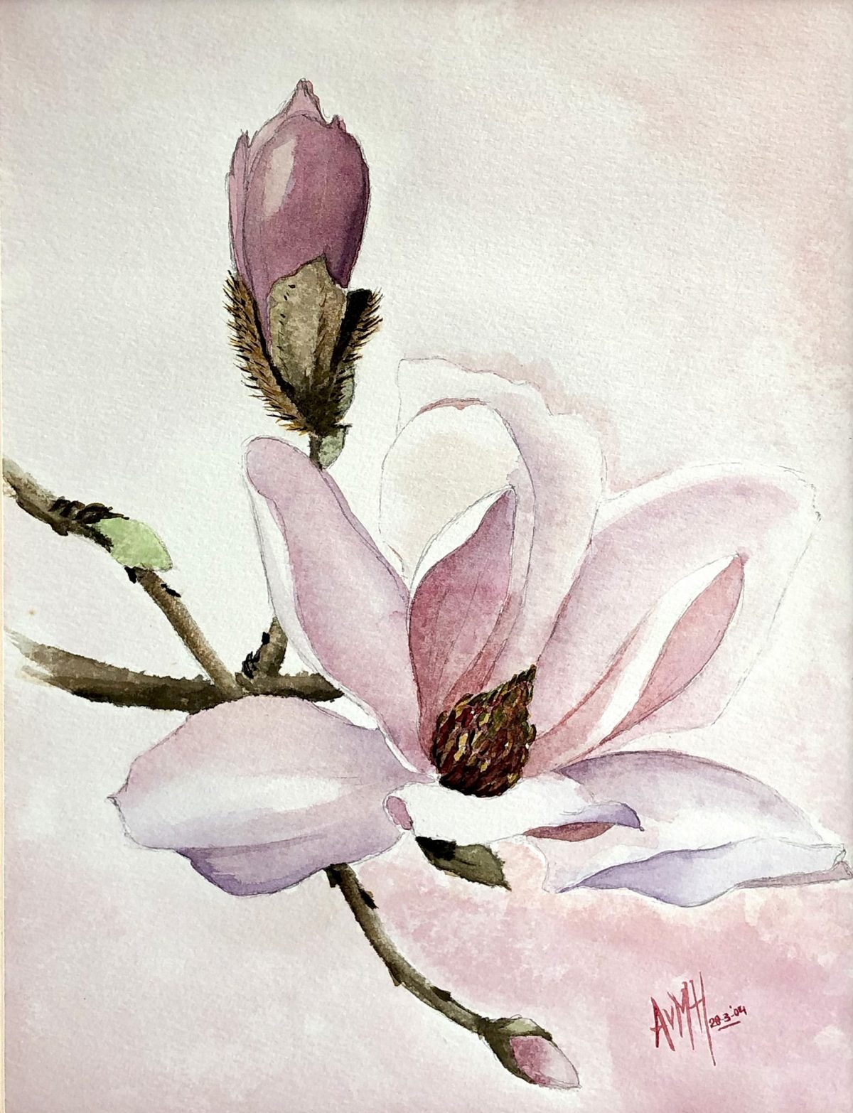 Magnolia