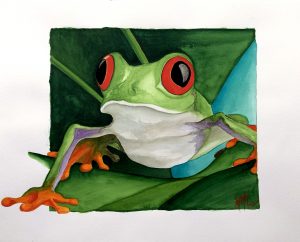 Anneke Hoitingh - Red Eyed Frog