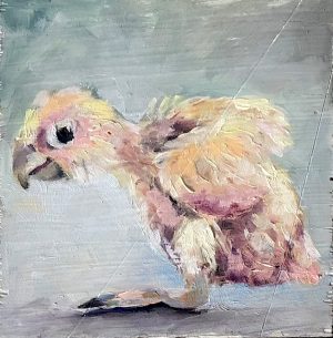 Hinke Veenstra - Vogeltje II