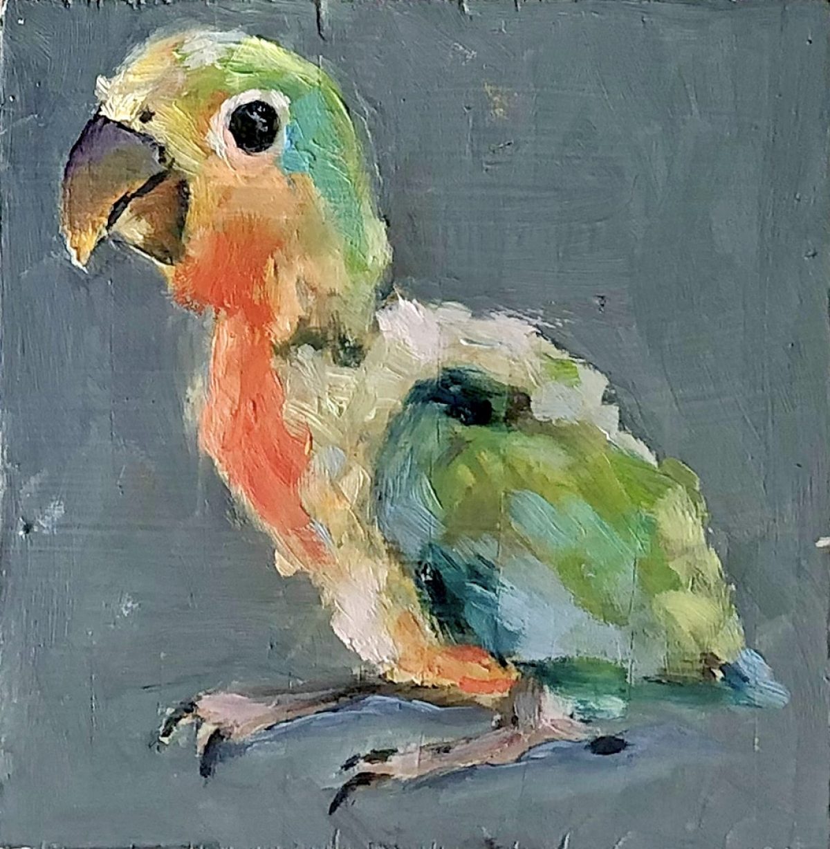 Vogeltje V