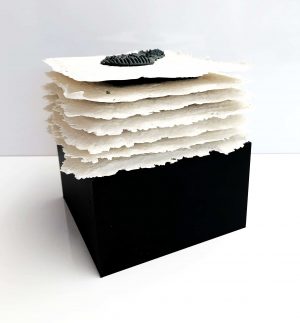 Anneke Jansen-Kniesmeijer - Object