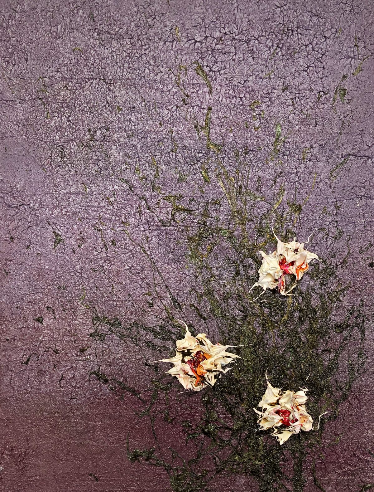 Fleurs du mal XXXIV