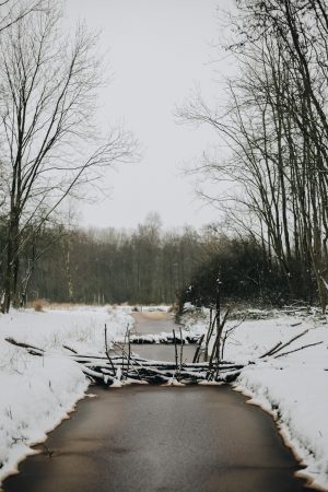 Jurjen Rozeboom - Sloot