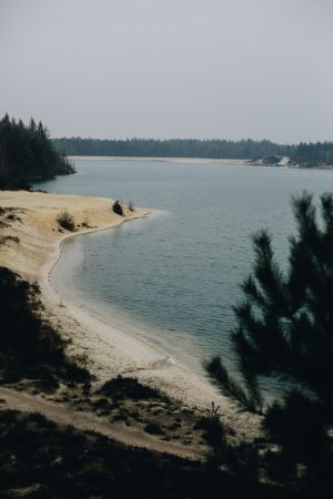 Jurjen Rozeboom - Zandzicht