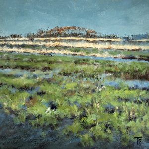 Tryntsje Snelter-Folmer - Wetlands bij de Leijen