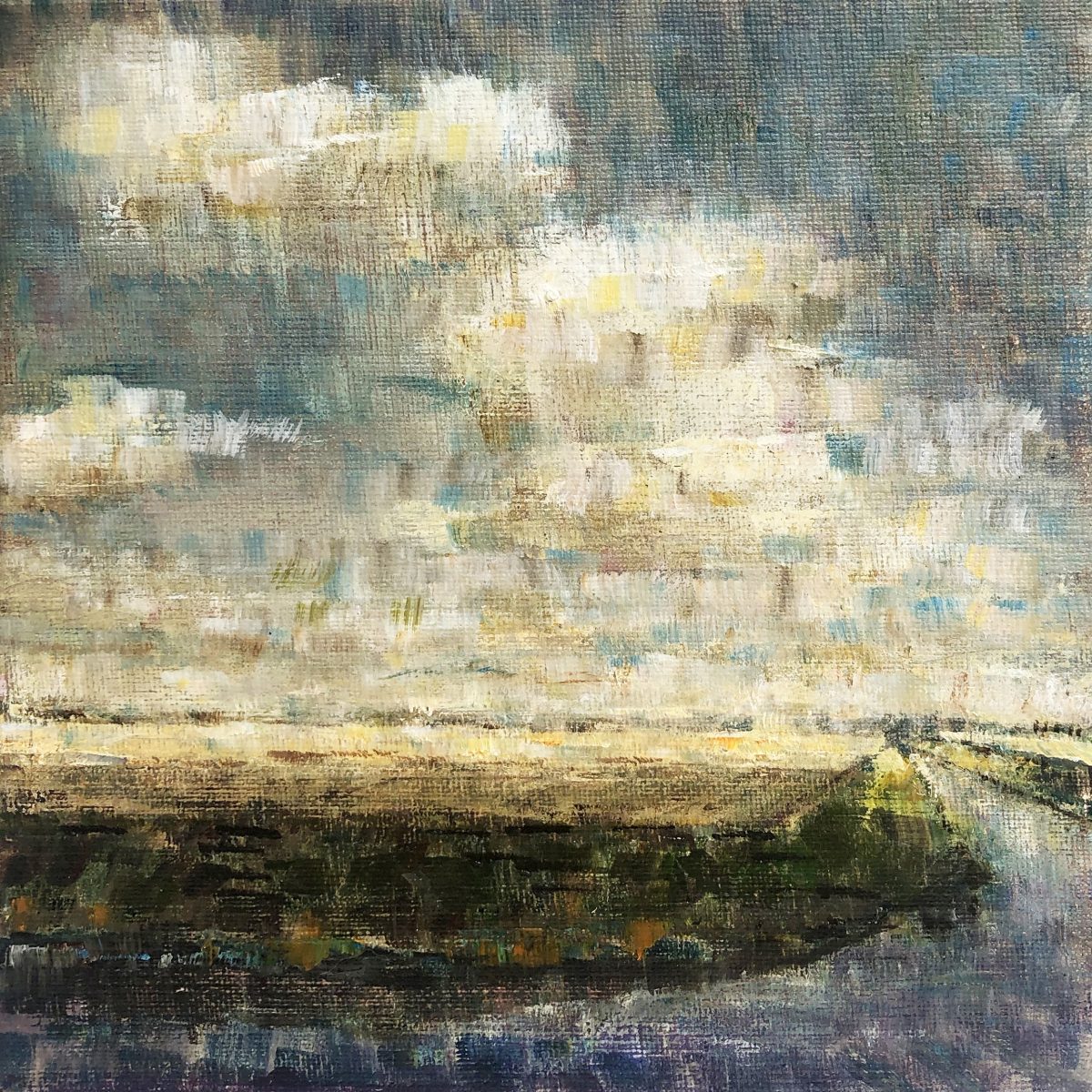 Polderlandschap V