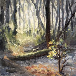 Janey Robertson - Forest Shadow I