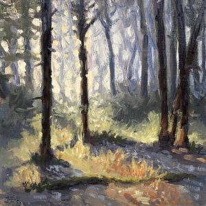 Janey Robertson - Forest Shadow II