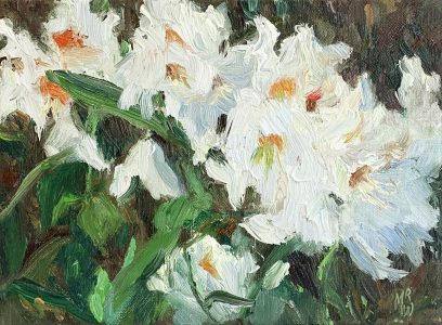 Melda Wibawa - Witte Rododendron