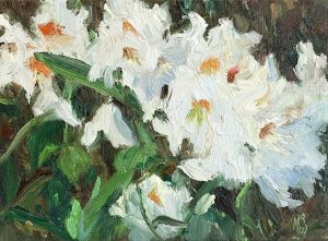 Melda Wibawa - Witte Rododendron
