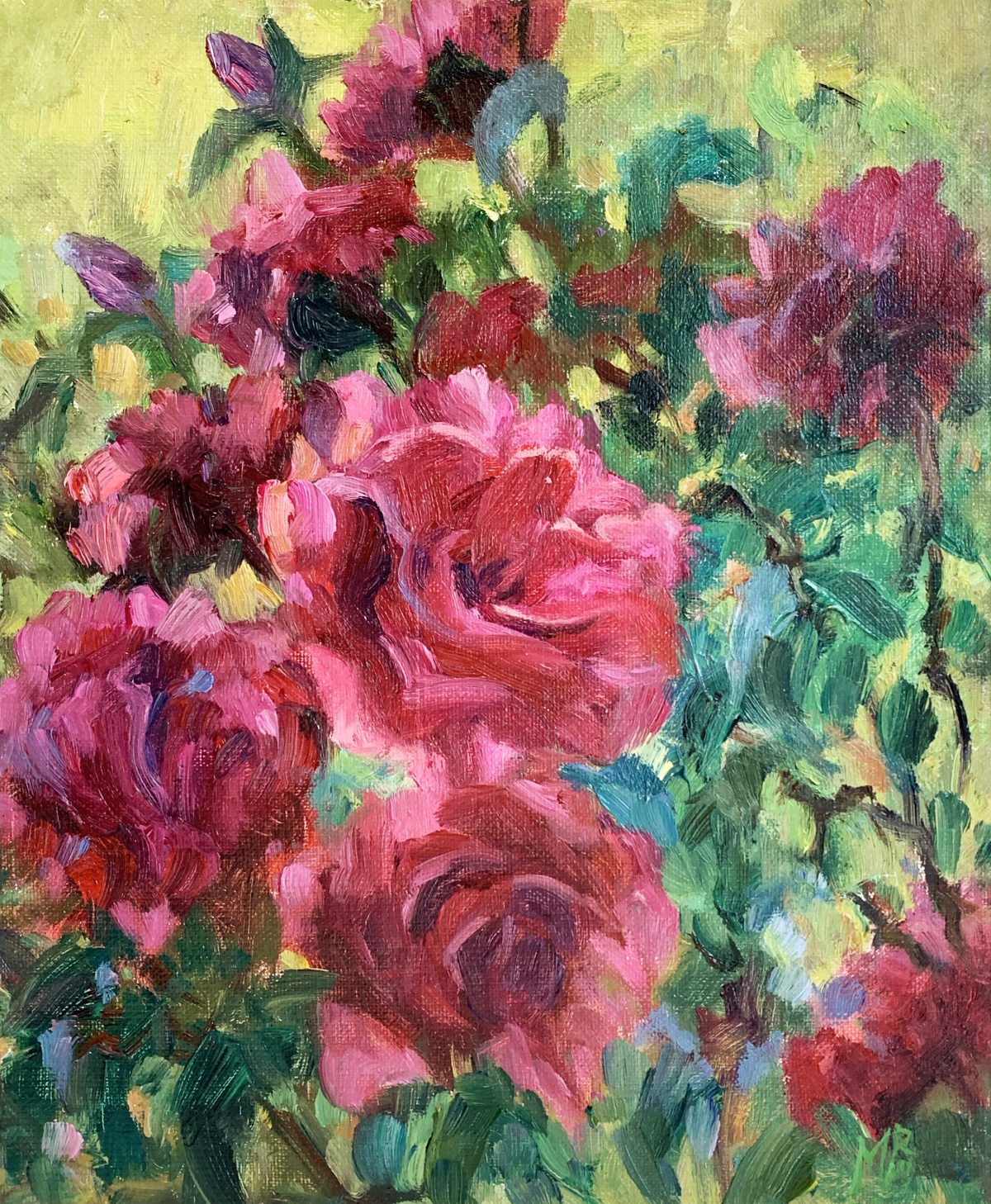 Rode rozen