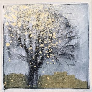 Sonja Steensma - Wonderboom Warns