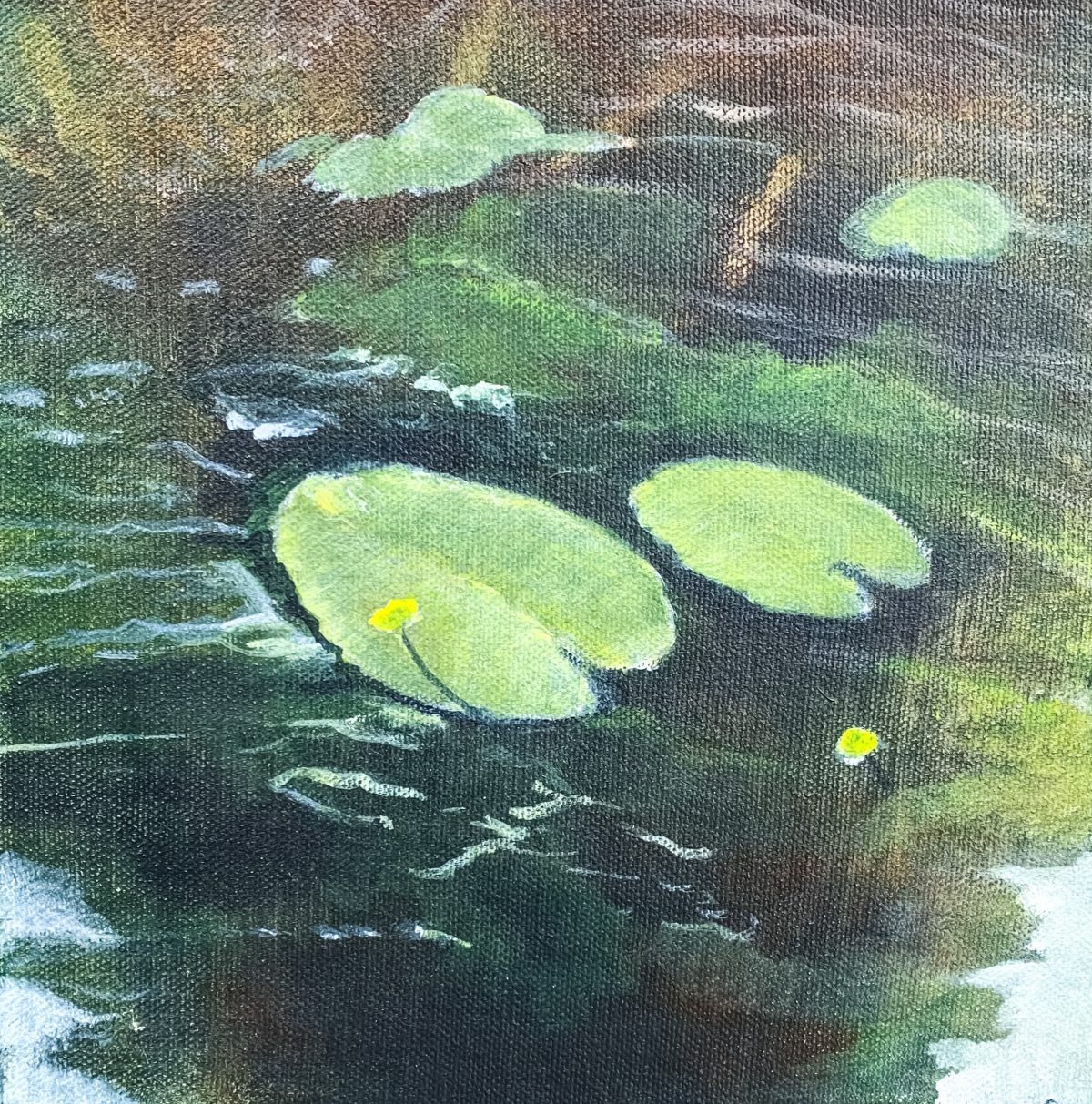 Waterlelies