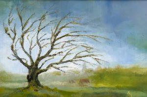 Arjen Zwamborn - Boom in Landschap