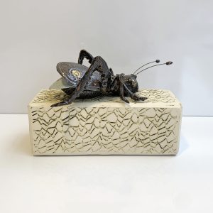 Jacqueline Tijssen - Insect