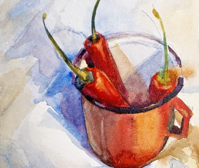 Janey Robertson, Tineke Szarzynski, Erika Stulp & meer