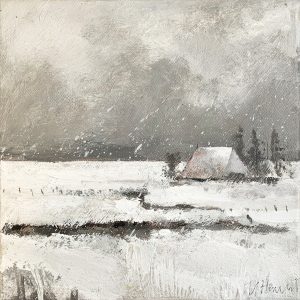 Fries winterlandschap
