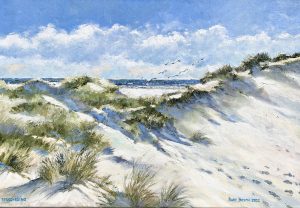 Bart Bosma - Terschelling – Zomer