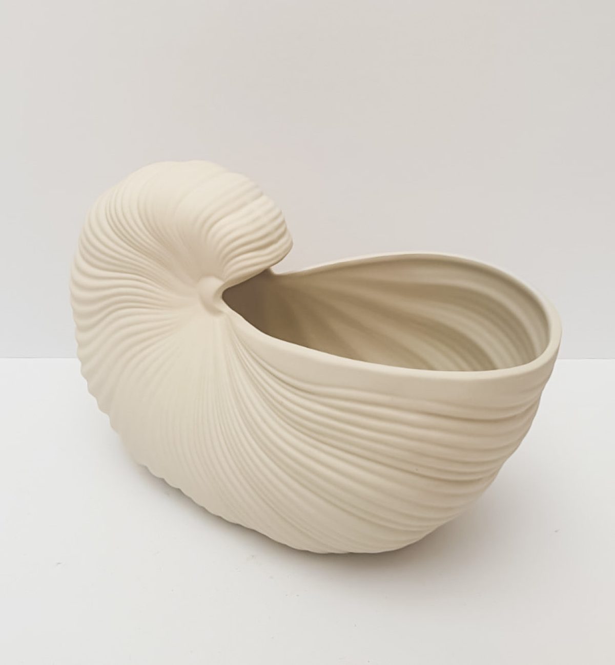 Shell Pot