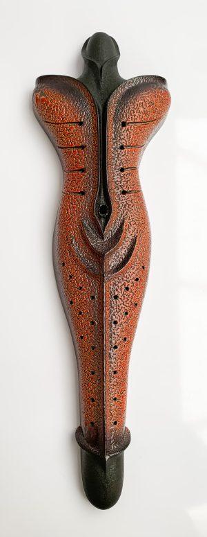 Riet Bakker - Gomphonema