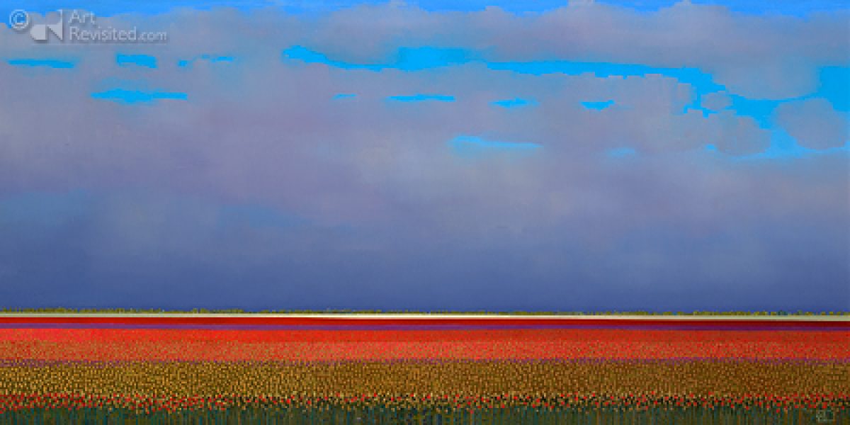 Red Tulip Fields