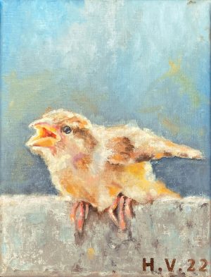 Hinke Veenstra - Jong vogeltje