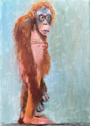 Hinke Veenstra - Orang Oetan