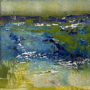 Rineke Hollemans - Draslanden / Plaslanden