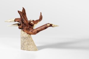 Wilma Wassing - Oervogel
