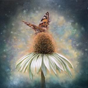 Froukje Torensma-Stol - Echinacea