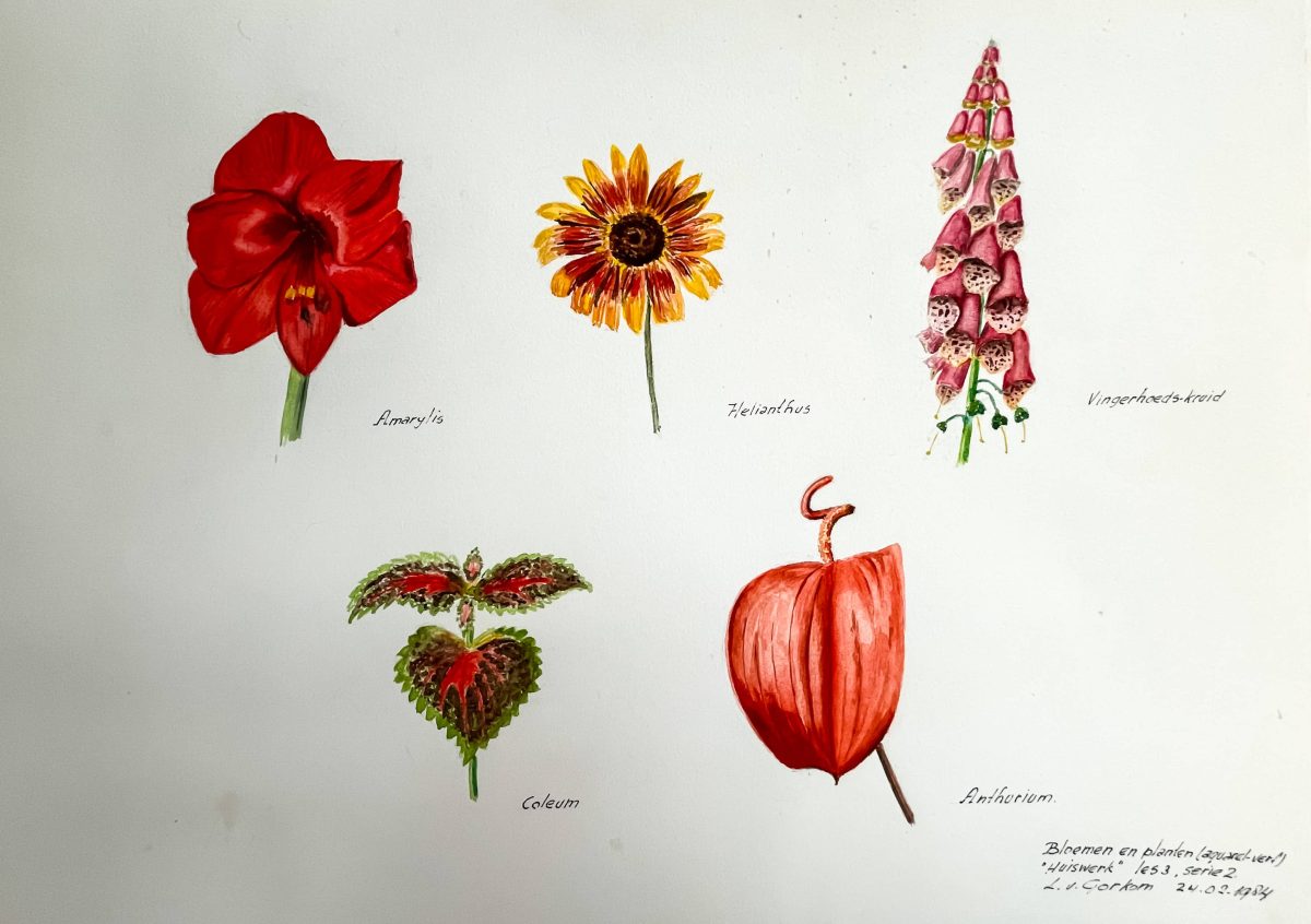 Bloemen en planten