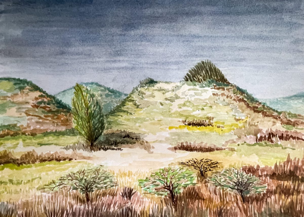 duinlandschap