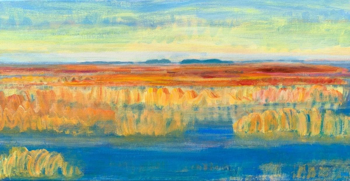 Wetland Friesland