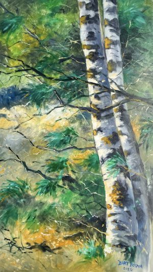 Bart Bosma - Op de Veluwe