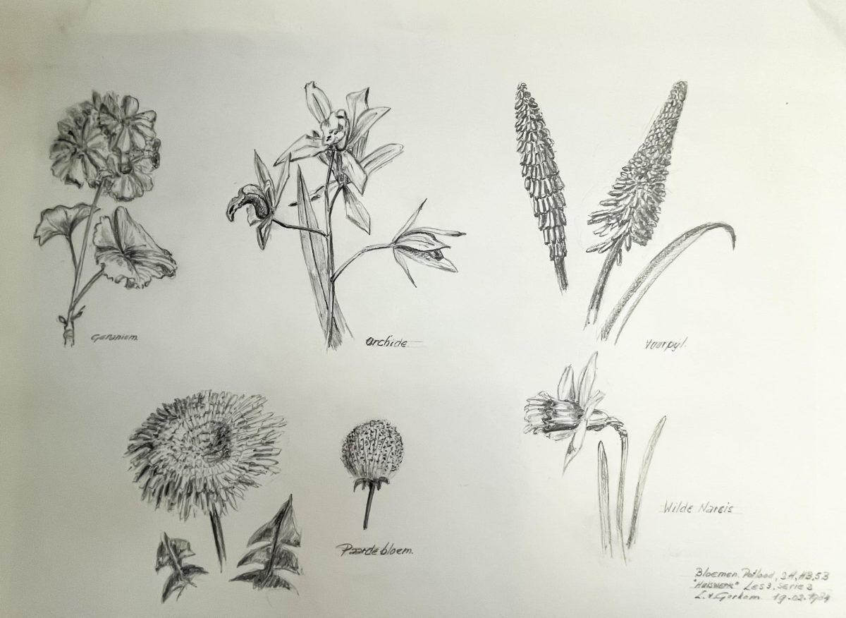 bloemen potlood I