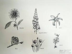Louis van Gorkom - Bloemen potlood II