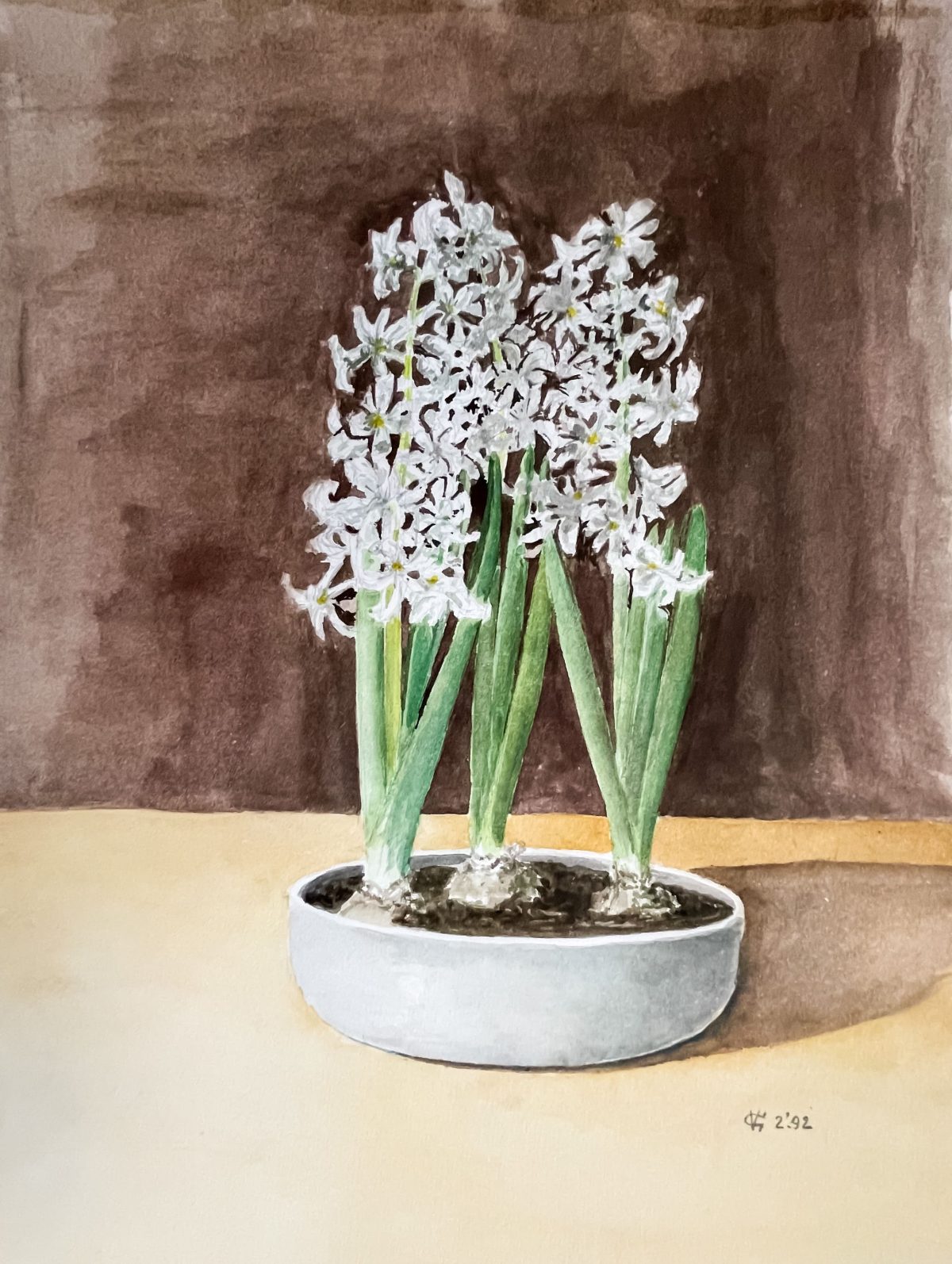 Witte hyacinten I