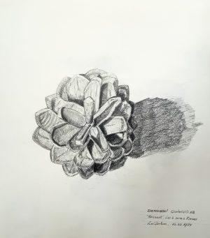 Louis van Gorkom - Dennenappel