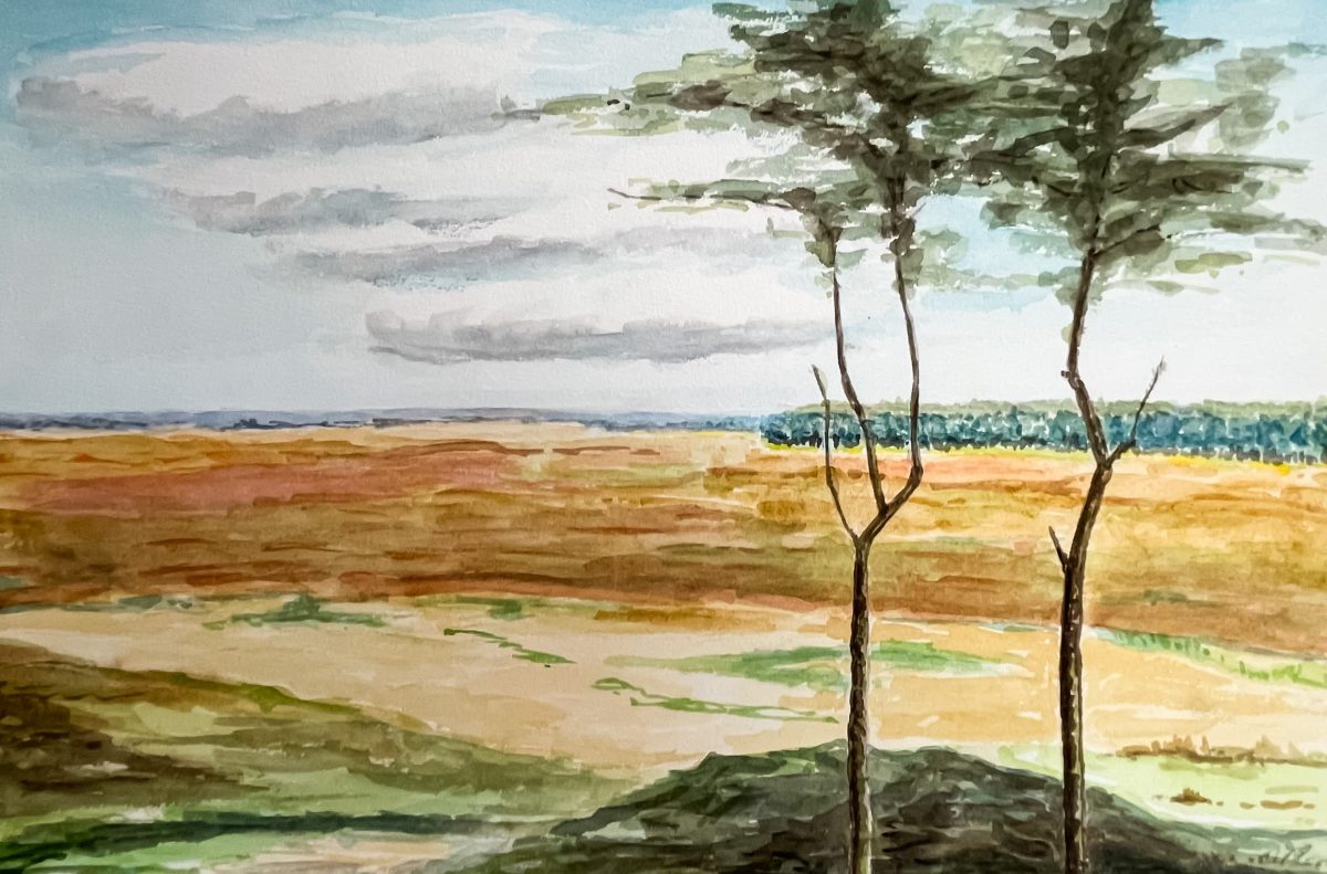 Bij Ede