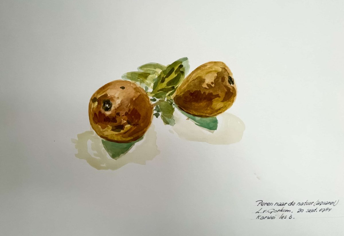 peren naar de natuur I